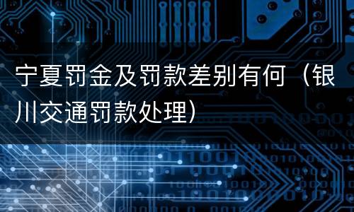 宁夏罚金及罚款差别有何（银川交通罚款处理）