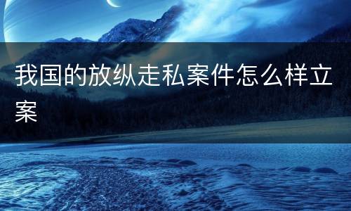 我国的放纵走私案件怎么样立案