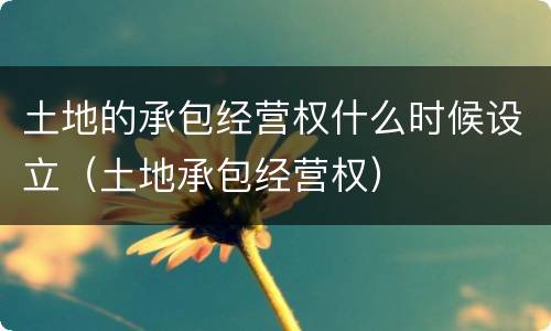 土地的承包经营权什么时候设立（土地承包经营权）