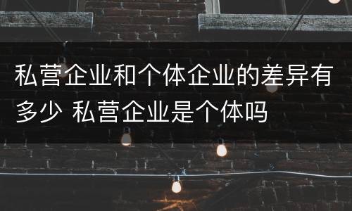 私营企业和个体企业的差异有多少 私营企业是个体吗