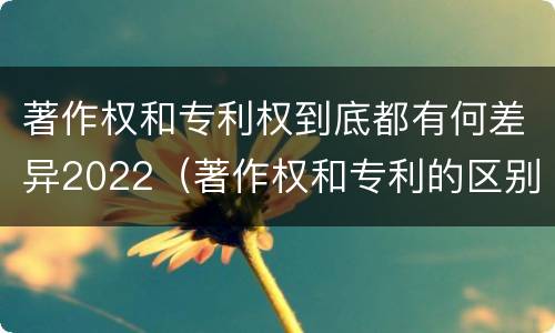著作权和专利权到底都有何差异2022（著作权和专利的区别）