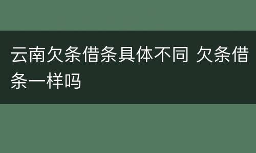 云南欠条借条具体不同 欠条借条一样吗