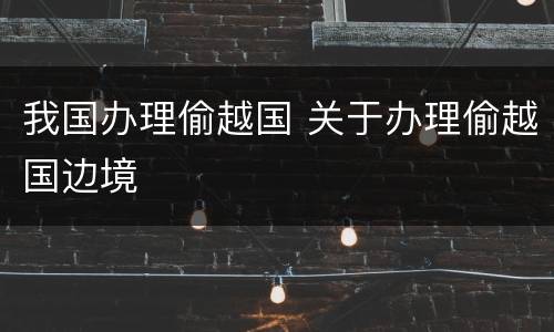 我国办理偷越国 关于办理偷越国边境