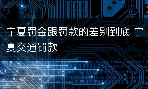 宁夏罚金跟罚款的差别到底 宁夏交通罚款
