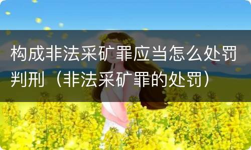 构成非法采矿罪应当怎么处罚判刑（非法采矿罪的处罚）