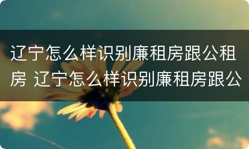 辽宁怎么样识别廉租房跟公租房 辽宁怎么样识别廉租房跟公租房的区别