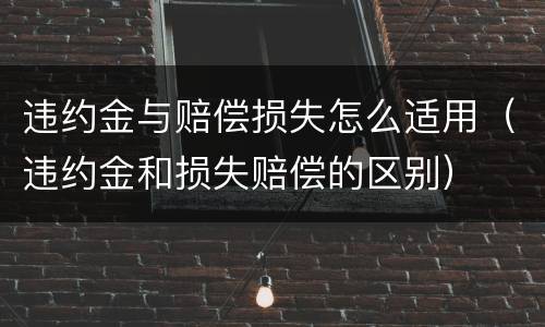 违约金与赔偿损失怎么适用（违约金和损失赔偿的区别）