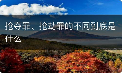 抢夺罪、抢劫罪的不同到底是什么