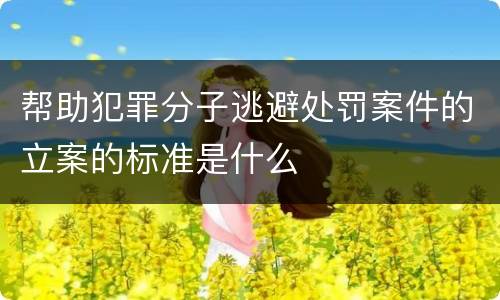 帮助犯罪分子逃避处罚案件的立案的标准是什么