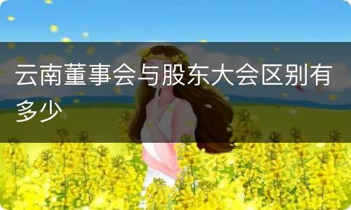 云南董事会与股东大会区别有多少