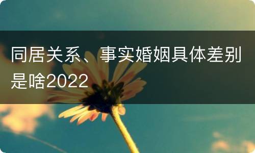 同居关系、事实婚姻具体差别是啥2022