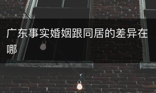 广东事实婚姻跟同居的差异在哪