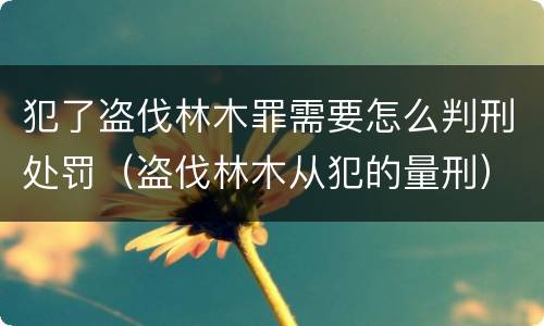 犯了盗伐林木罪需要怎么判刑处罚（盗伐林木从犯的量刑）