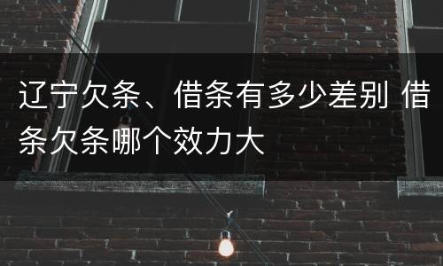 辽宁欠条、借条有多少差别 借条欠条哪个效力大