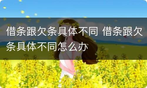 借条跟欠条具体不同 借条跟欠条具体不同怎么办