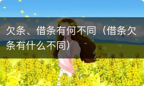 欠条、借条有何不同（借条欠条有什么不同）