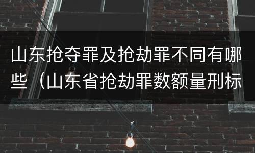山东抢夺罪及抢劫罪不同有哪些（山东省抢劫罪数额量刑标准）