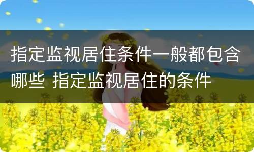 指定监视居住条件一般都包含哪些 指定监视居住的条件