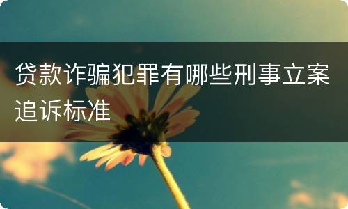 贷款诈骗犯罪有哪些刑事立案追诉标准