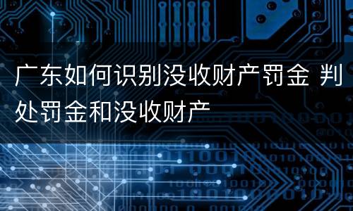 广东如何识别没收财产罚金 判处罚金和没收财产