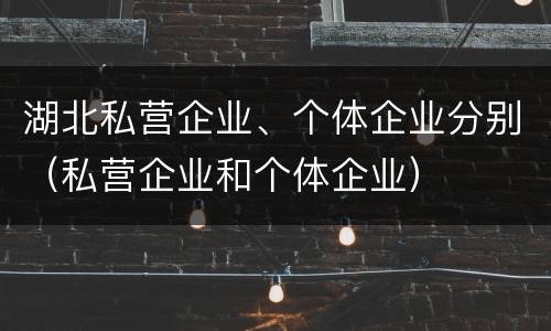 湖北私营企业、个体企业分别（私营企业和个体企业）