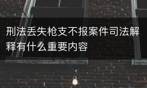 刑法丢失枪支不报案件司法解释有什么重要内容