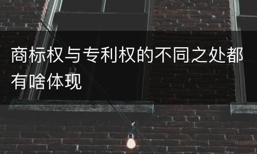 商标权与专利权的不同之处都有啥体现