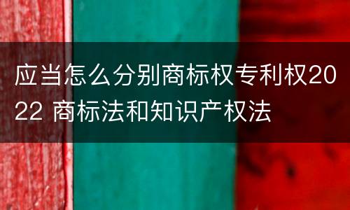 应当怎么分别商标权专利权2022 商标法和知识产权法