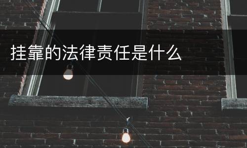 挂靠的法律责任是什么
