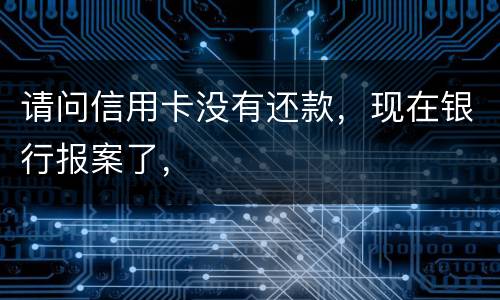 请问信用卡没有还款，现在银行报案了，