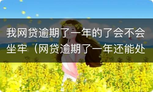 我网贷逾期了一年的了会不会坐牢（网贷逾期了一年还能处理吗?）