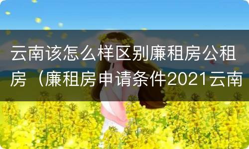 云南该怎么样区别廉租房公租房（廉租房申请条件2021云南）