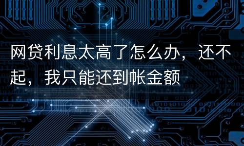 网贷利息太高了怎么办，还不起，我只能还到帐金额