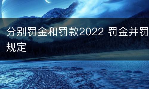 分别罚金和罚款2022 罚金并罚规定