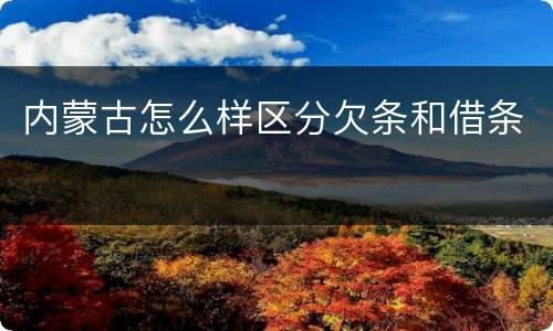 内蒙古怎么样区分欠条和借条