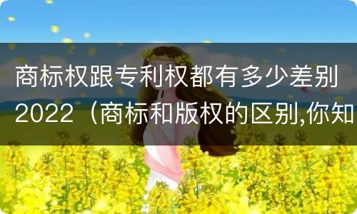 商标权跟专利权都有多少差别2022（商标和版权的区别,你知道多少?）