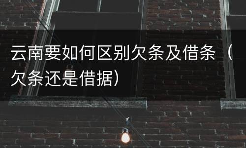 云南要如何区别欠条及借条（欠条还是借据）