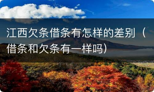 江西欠条借条有怎样的差别（借条和欠条有一样吗）