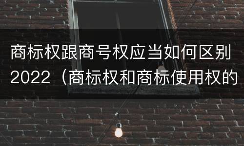 商标权跟商号权应当如何区别2022（商标权和商标使用权的区别）