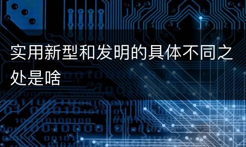 实用新型和发明的具体不同之处是啥