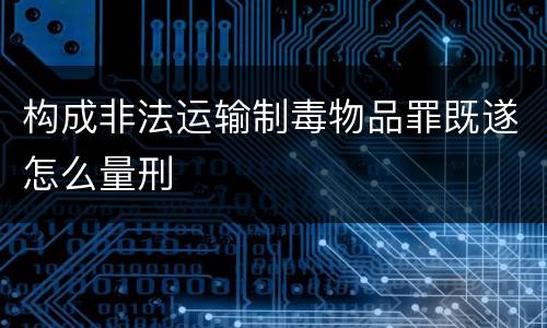 构成非法运输制毒物品罪既遂怎么量刑