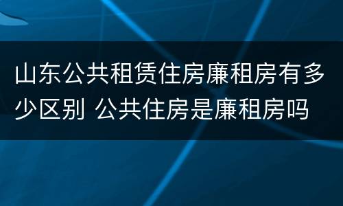 山东公共租赁住房廉租房有多少区别 公共住房是廉租房吗