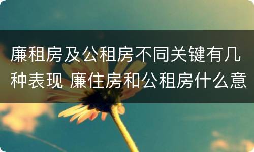 廉租房及公租房不同关键有几种表现 廉住房和公租房什么意识