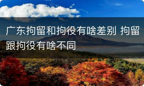 广东拘留和拘役有啥差别 拘留跟拘役有啥不同