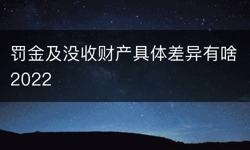 罚金及没收财产具体差异有啥2022