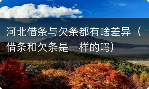 河北借条与欠条都有啥差异（借条和欠条是一样的吗）