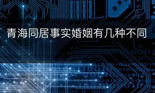 青海同居事实婚姻有几种不同