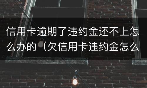 信用卡逾期了违约金还不上怎么办的（欠信用卡违约金怎么算）