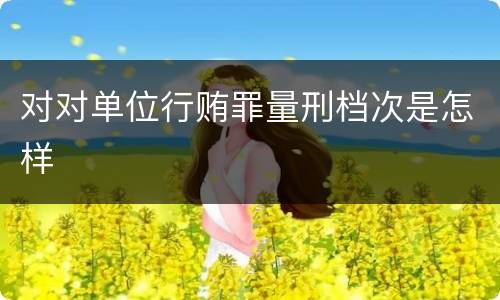对对单位行贿罪量刑档次是怎样