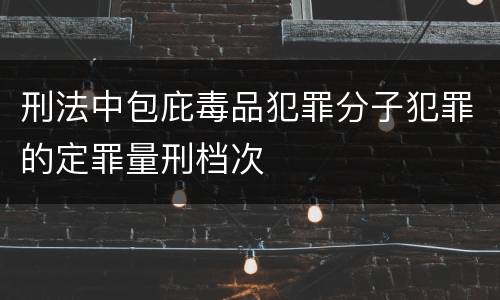 刑法中包庇毒品犯罪分子犯罪的定罪量刑档次